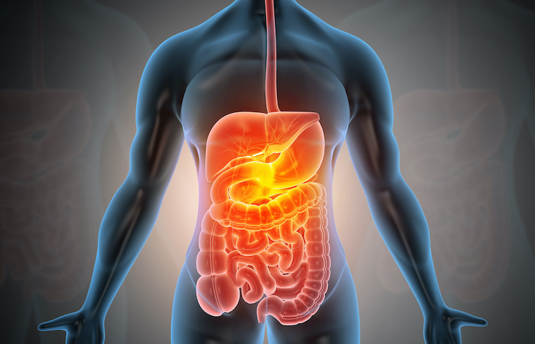 Recognise Healthy Body Systems