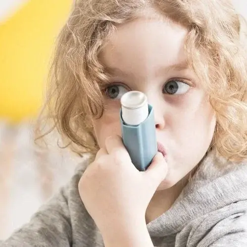 Reduced2 B Adobe Stock 113536716252812529